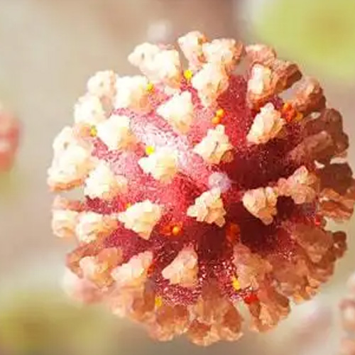 UV-lampen en -lampen: ultraviolet-C-straling, desinfectie en coronavirus